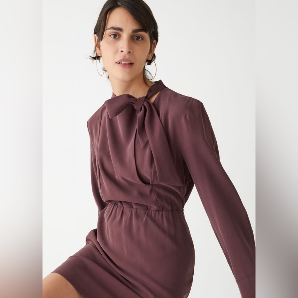 NWT & Other Stories Mini Dress, Size 2 | Cowl Neck Mini Dress in Dark Red